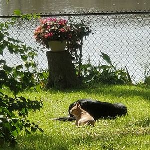 Meet your Posher, Robin